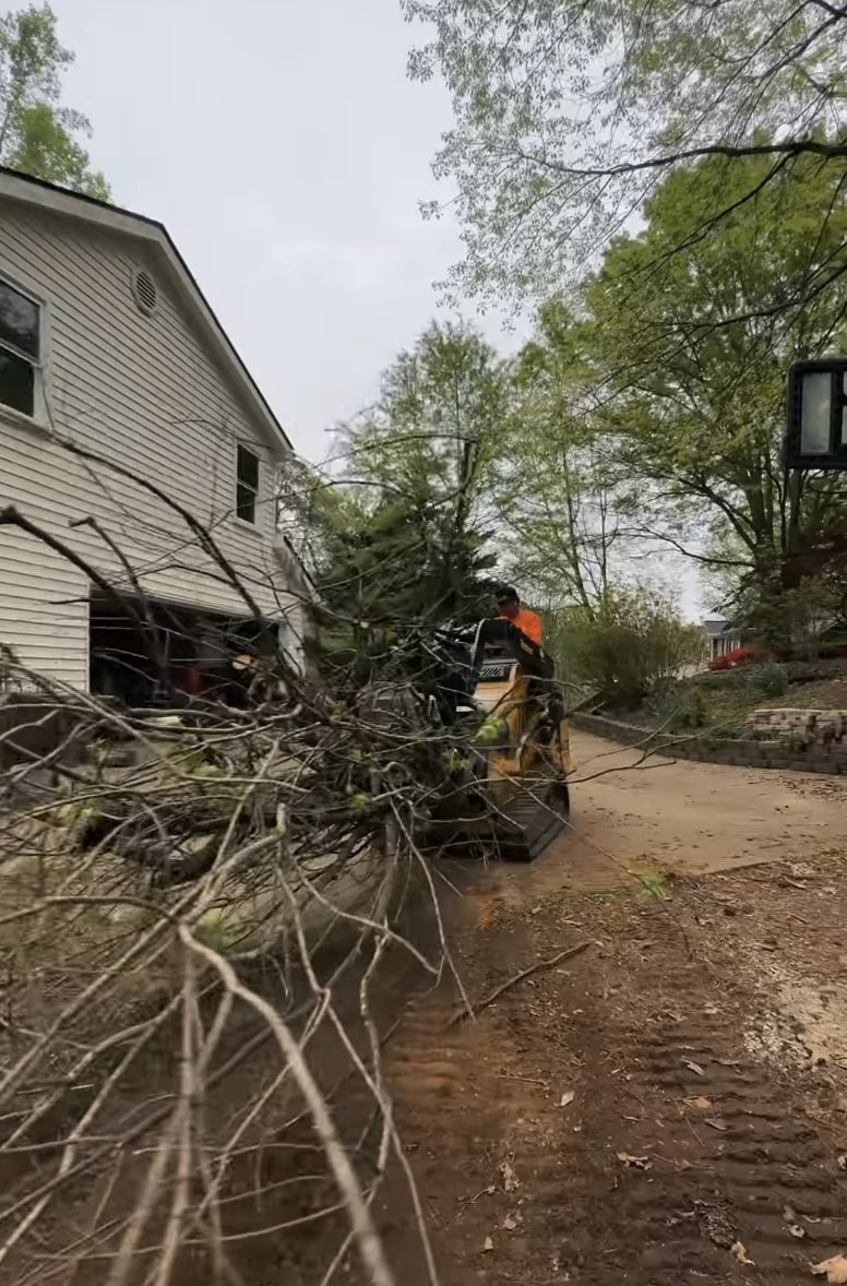 Emergency tree removal after storm damage in Watsonville