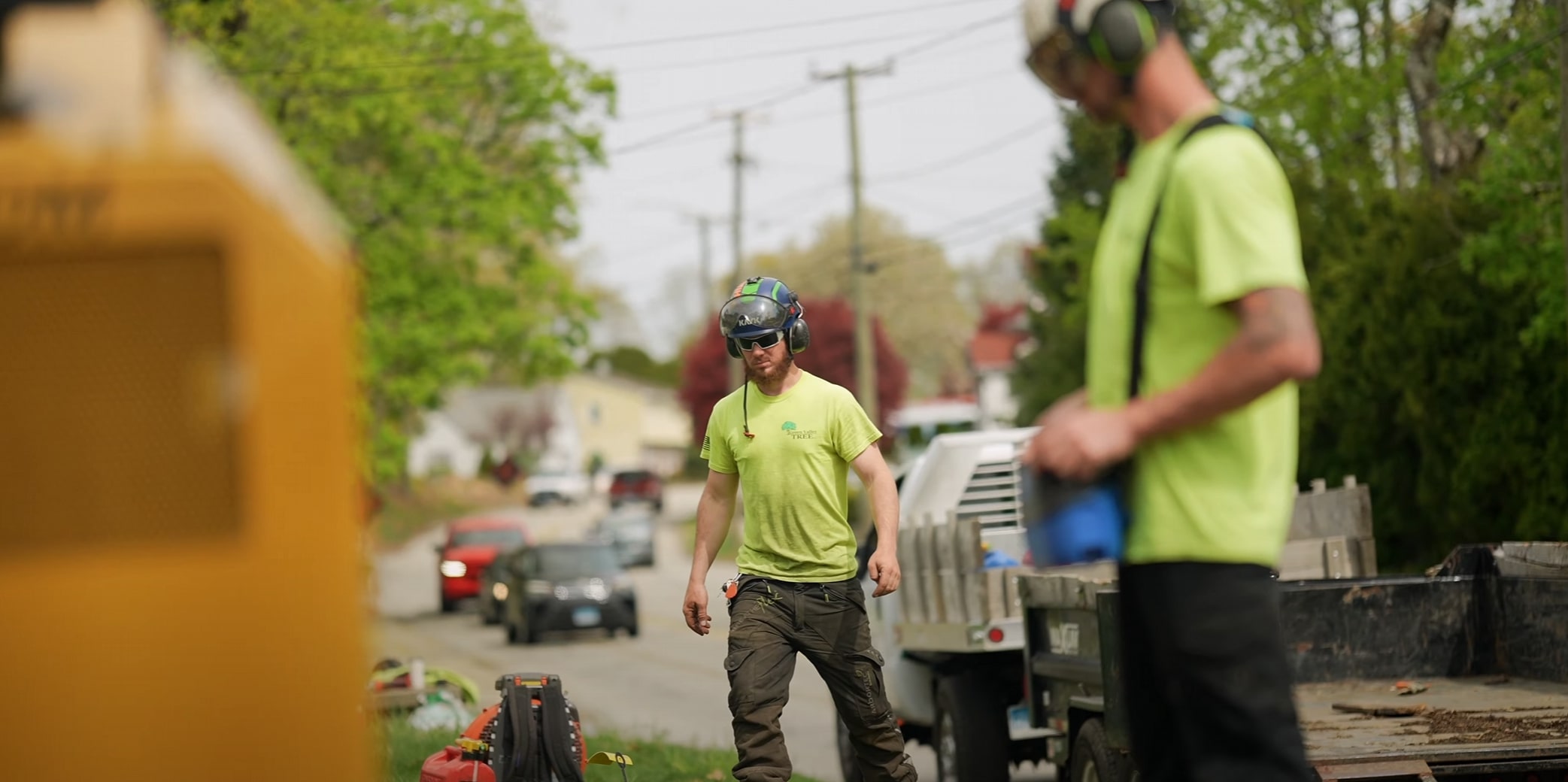 Local tree care specialists working in Watsonville residential area